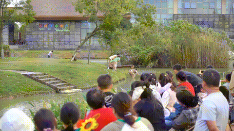 72.gif