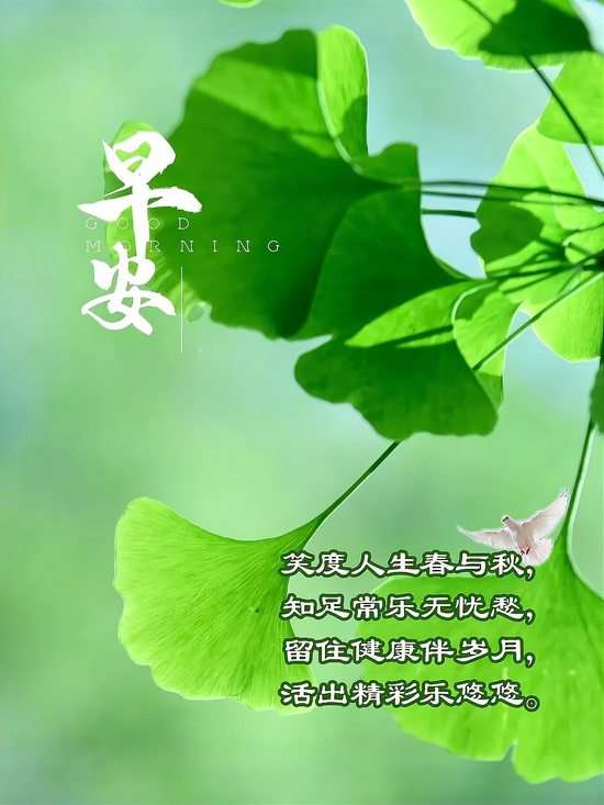 20241015075206front2_0_855411_FrSq_o3Nv6fcVZZSl3CDBa217Xyc.jpg