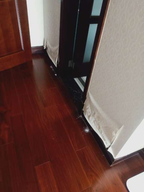 20241018160147front2_0_886052_FmIYizISuVBV3HzY4OjjFJfFsNT4.jpg