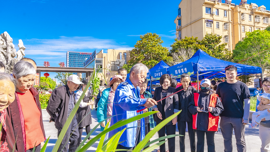 6.png