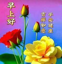 20241021073053front2_0_855411_FsmGgsGeNOAyo5CJi27WtLz7alqM.jpg