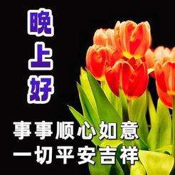 20241021202421front2_0_849770_FqI2lj1o2dT3WtRZpZ7BXW5lULoD.jpg