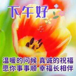 20241024155032front2_0_675609_FrHuWtlB5zj_ABpimIFMMWXn7_OR.jpg