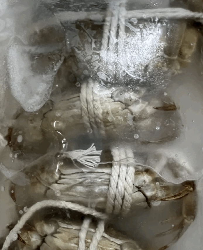΢�Ž�ͼ_20241102153454.png