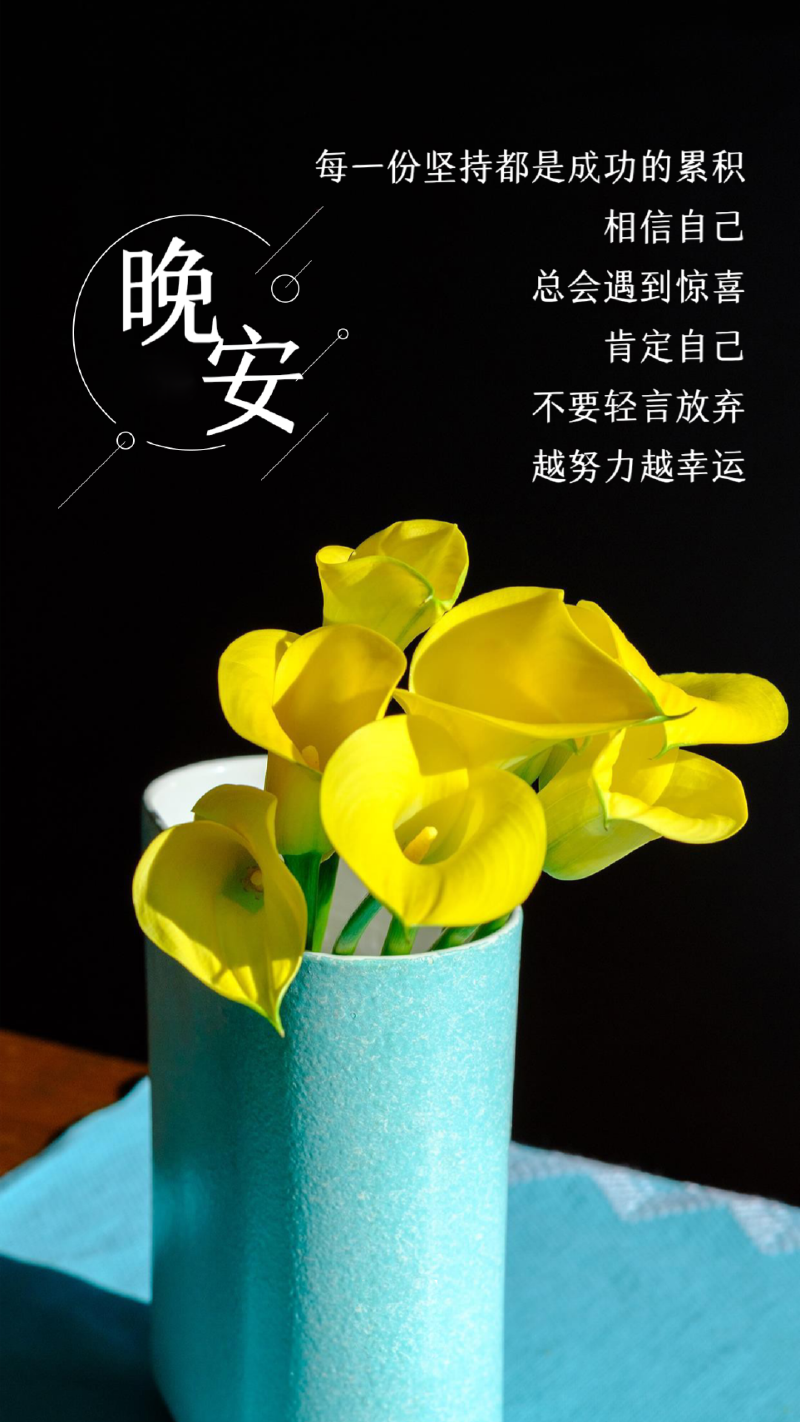 20241110205714front2_0_832048_FuLKazj-482bfJbG-za5ldbBA87f.png