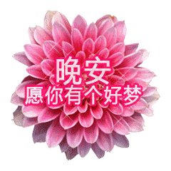 20241116210301front2_0_832048_FmXdONyiMxysKn1-sE9cY2UEbKpd.gif