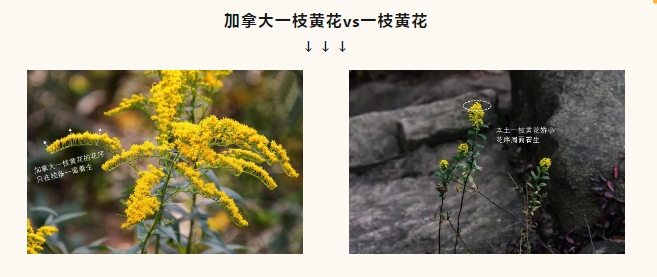 ΢�Ž�ͼ_20241122164050.png