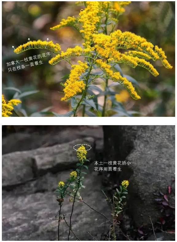 ΢�Ž�ͼ_20241122164032.png