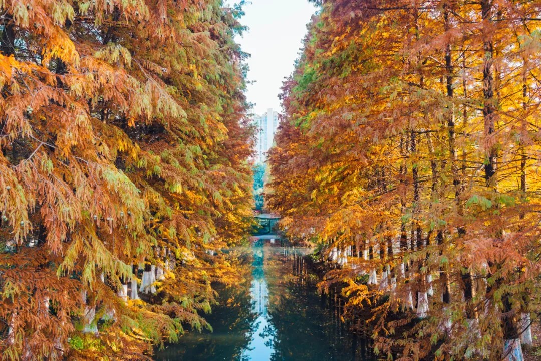 640.jpg