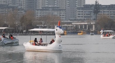 ΢�Ž�ͼ_20241124171225.jpg