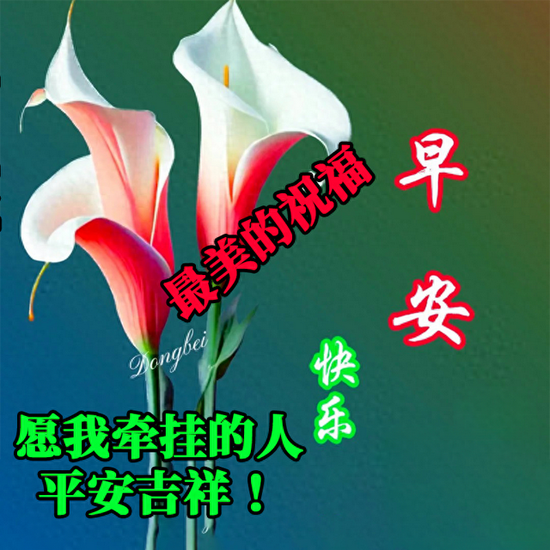 20241126065541front2_0_855411_Fv9fXDWxnYjgR1axjAKPNFBHaeJU.png