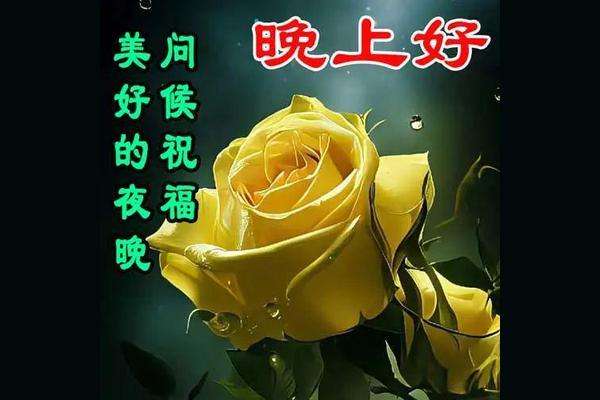 20241126204830front2_0_849770_FvbfsBf22zyFIeJHAzX7vM8KIIE0.jpg