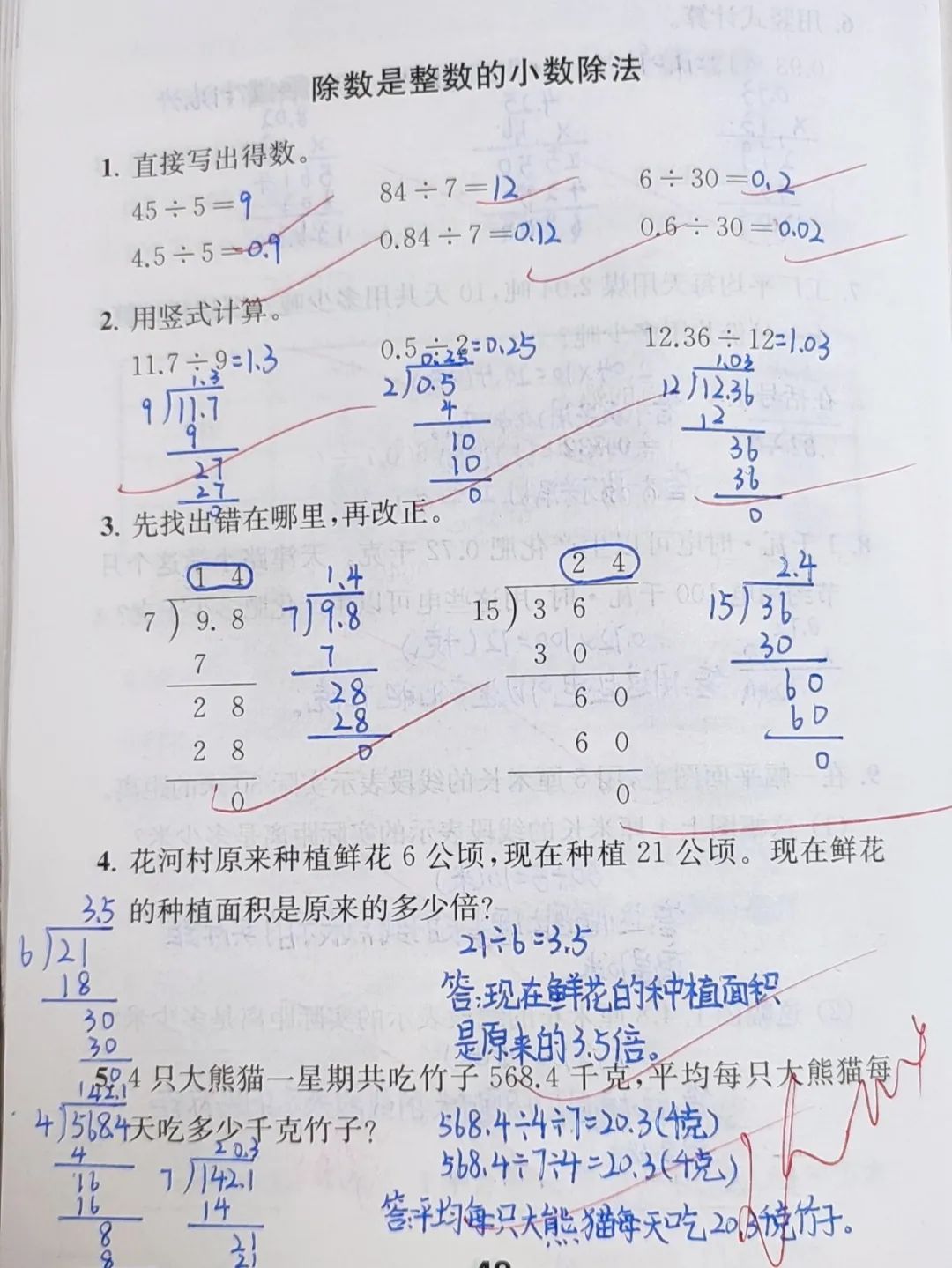 48.jpg