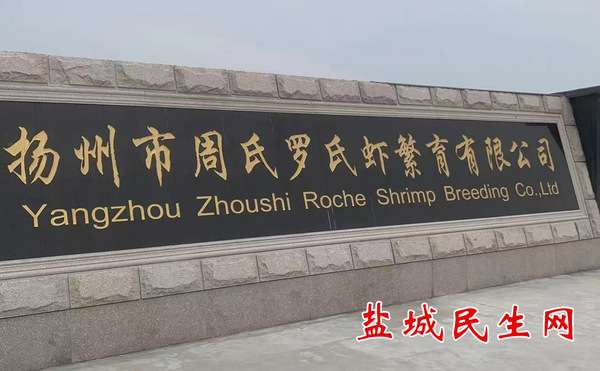 20241214161344front2_0_11179_FsSchRmkbzF2AJU60gayOQtIcifQ.jpg