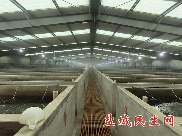 20241214161348front2_0_11179_Fhz3f5T98EK9i3OcJhMrf2zqZj4o.jpg