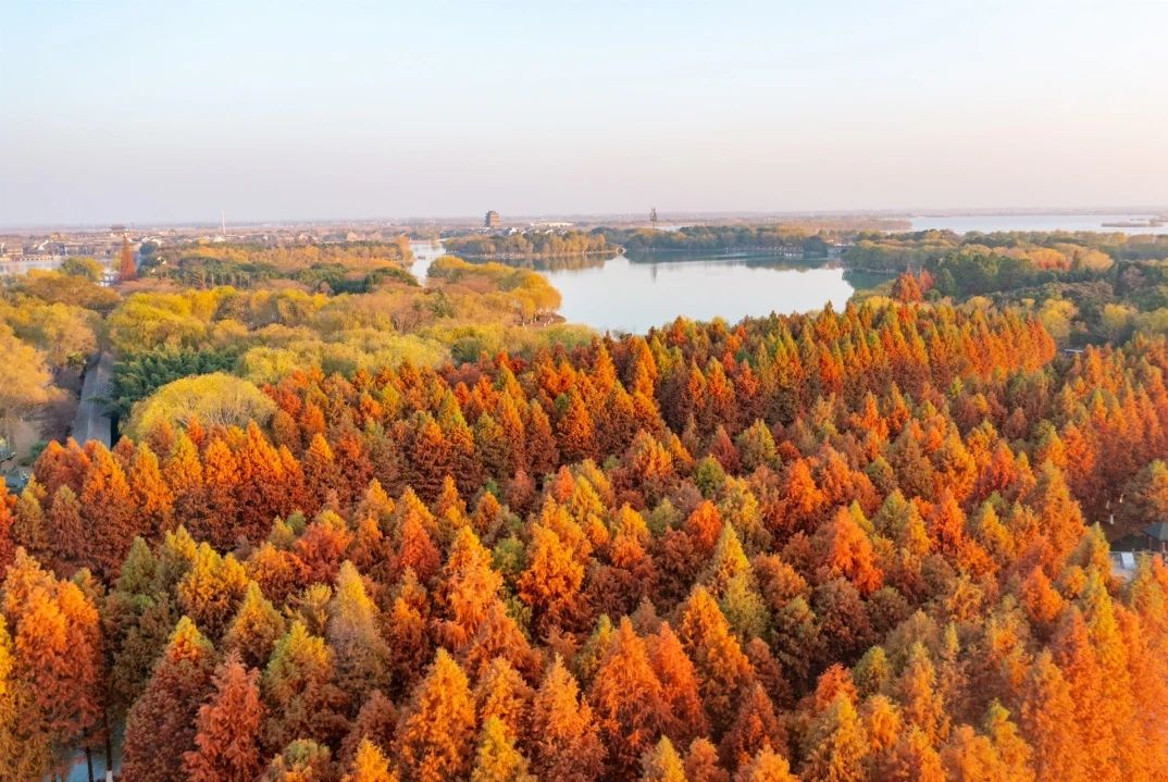 ΢��ͼƬ_20241215141538.jpg