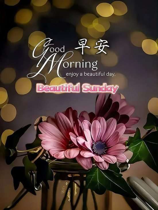 20241217071711front2_0_855411_Fu-mWfUHHqB7oX4rydEVWkXjoqhi.jpg