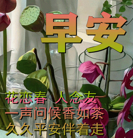 20241228075347front2_0_855411_Frb1IkUbFaAMIqqDJEvvBQxsIrSL.gif