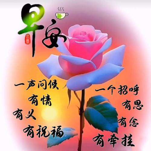 20250108073926front2_0_855411_FpZwm4jCfQ97GI7QGfUSXwquLRRN.jpg