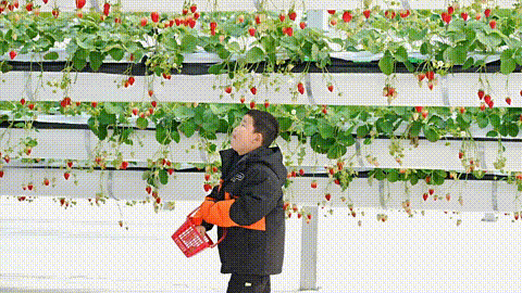 22.gif