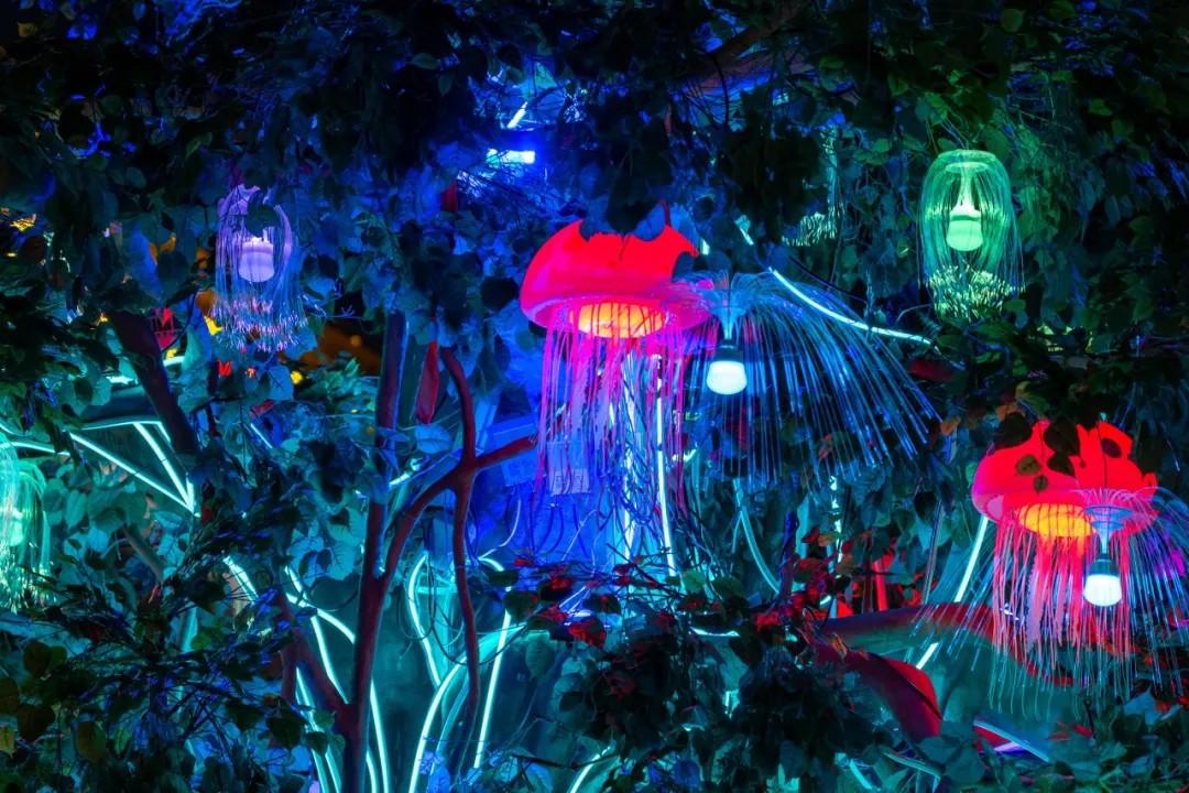 640 (23).jpg