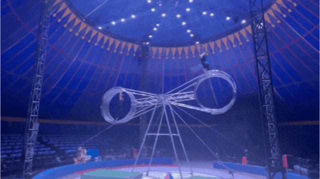 56.gif