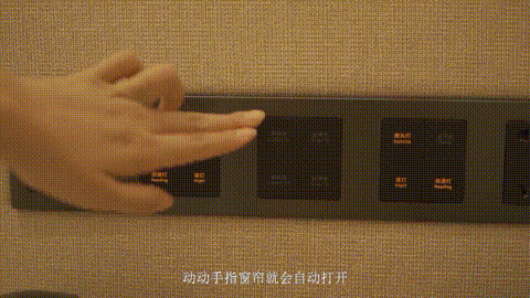 25.gif