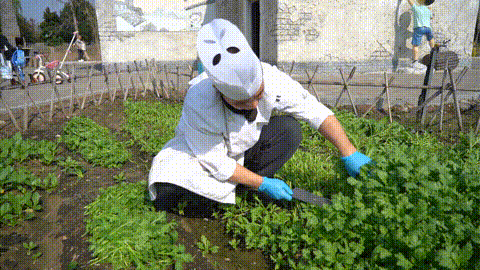 34.gif