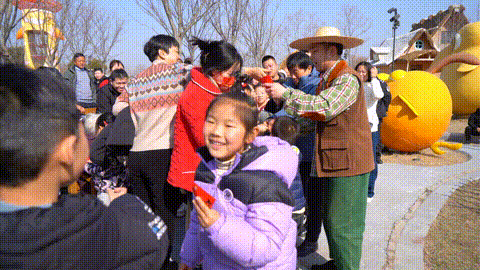 41.gif