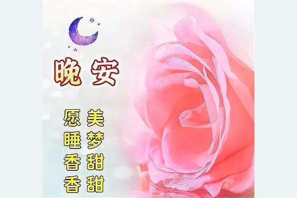 20250207234221front2_0_832048_Fnevm6GymeAdKYbo2uqZKCm0Cg7B.jpg