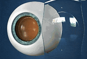 ΢��ͼƬ_20250209082922.gif