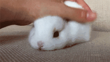 35.gif
