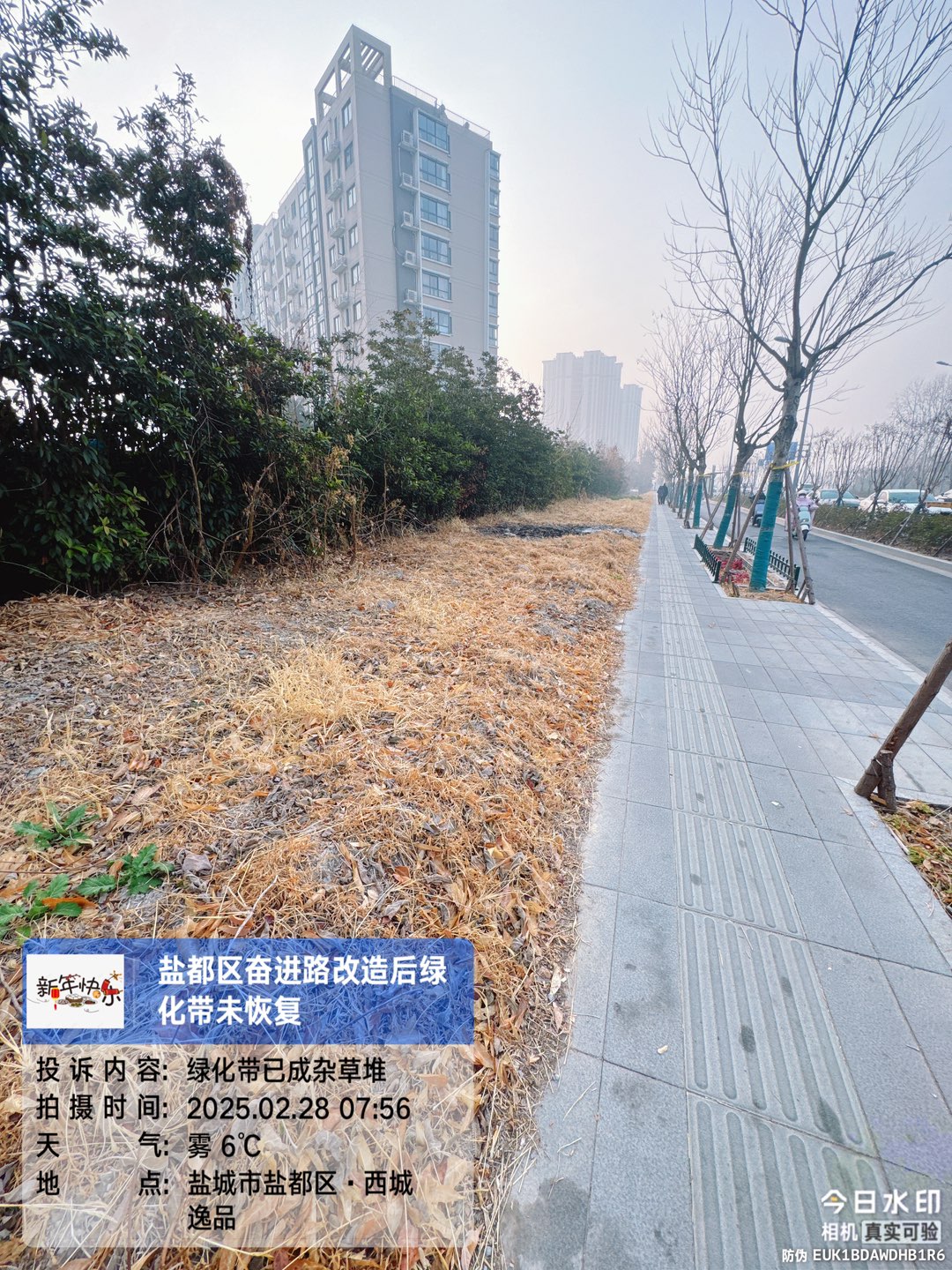 20250303095952front1_0_886927_Fp-Gk0_Gj5hZ_CF8JK1_ozivCF6C.jpg