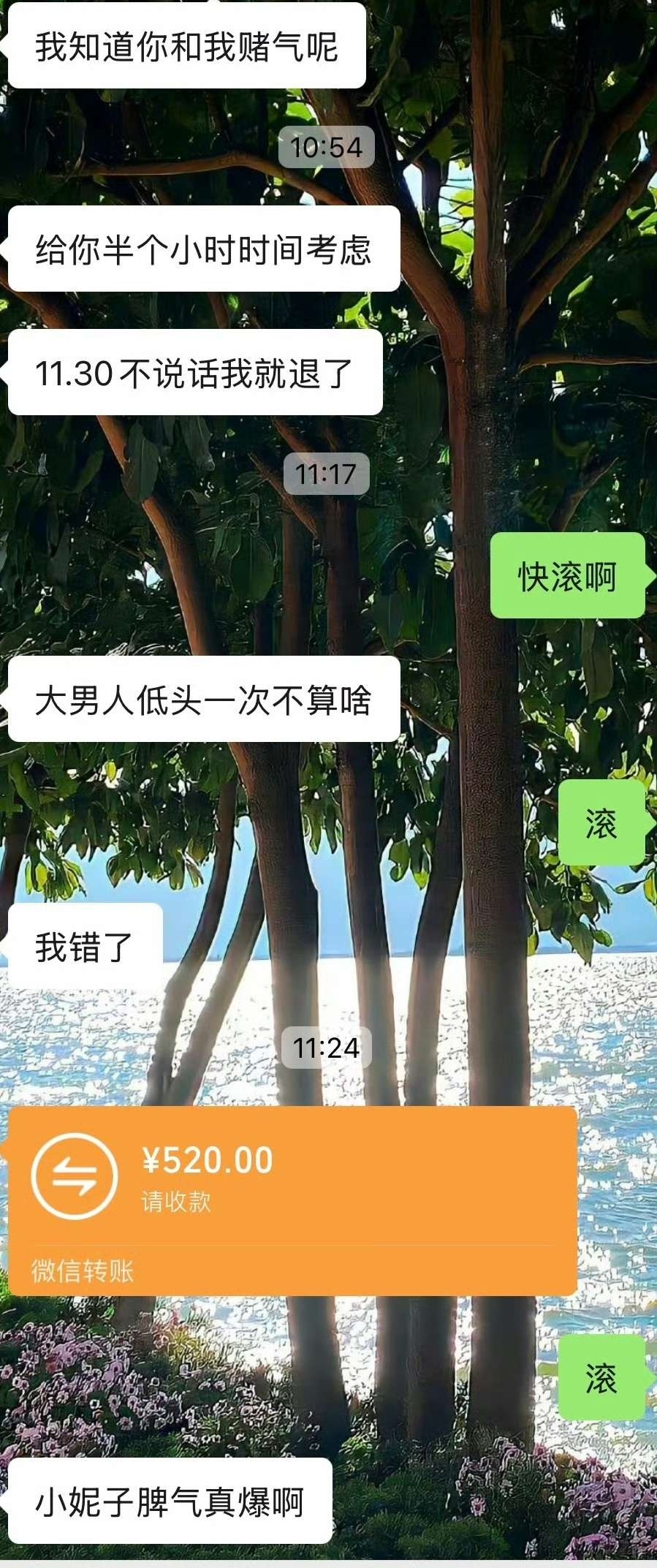 35.jpg