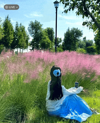 25.gif