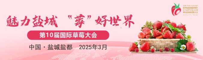 ΢�Ž�ͼ_20250329101508.png