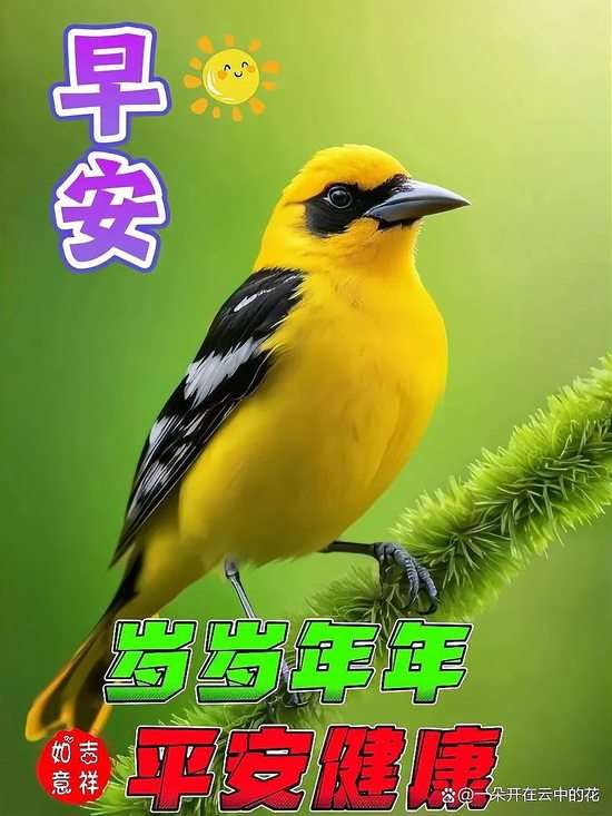 20250401073749front2_0_855411_Fua2U5e98tD7rySf3yJIXveCxqiT.jpg