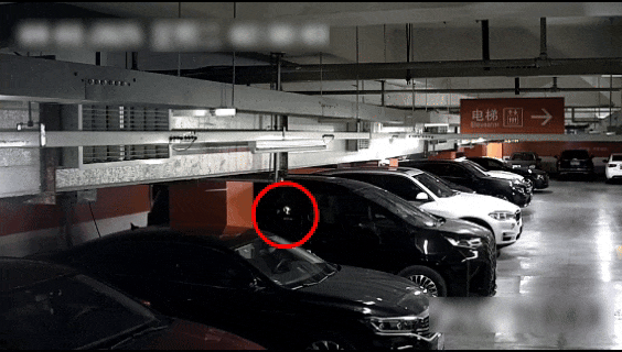 10.gif