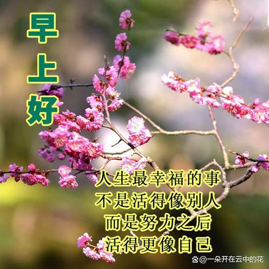 20250414075109front2_0_855411_Fqbt5AfcJa8GomIFk8eKnLqB1Hxa.jpg