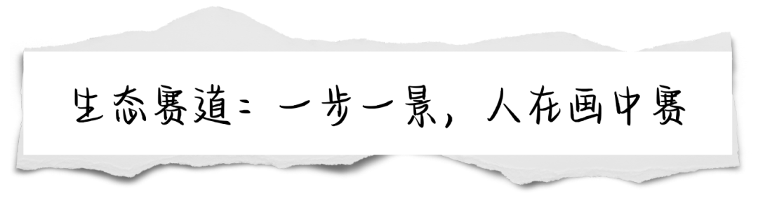21.png