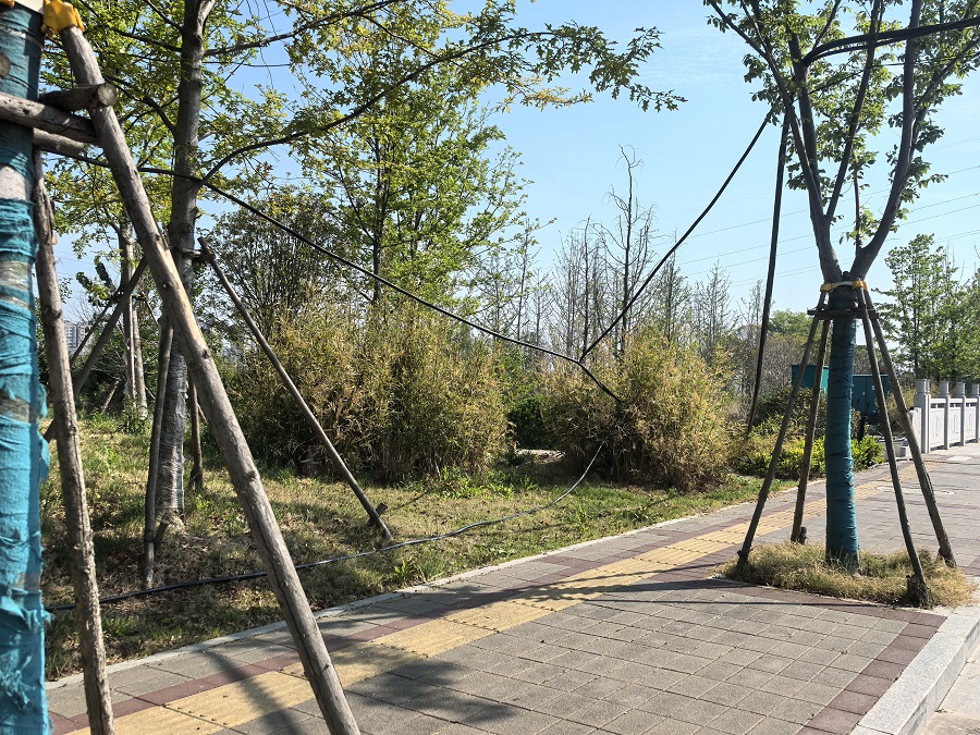 ΢��ͼƬ_20250426153405.jpg