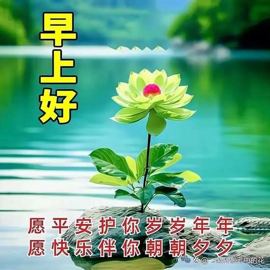 20250508052441front2_0_855411_FiUTm-1_X15Hf-N_cpxBVT1DHxE6.jpg