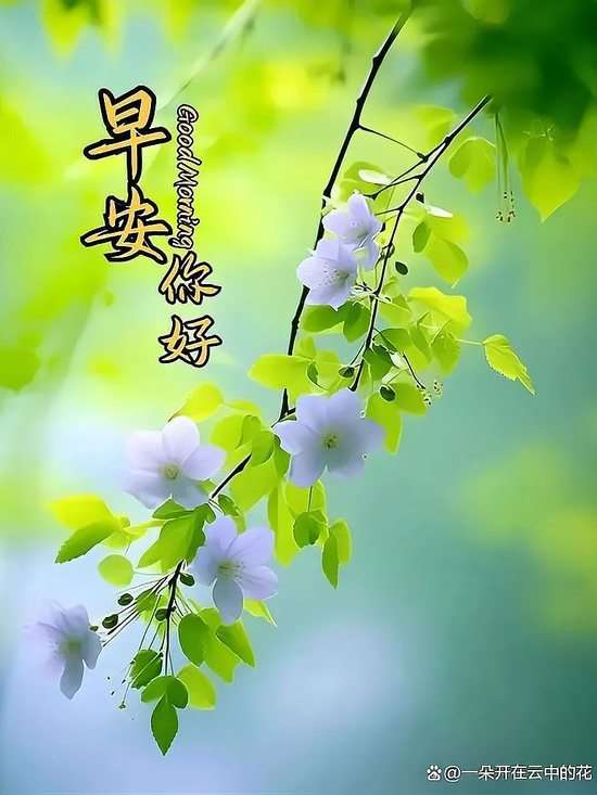 20250509065301front2_0_855411_FuWwX3KXqoX39Mg8hN-locqkGJez.jpg