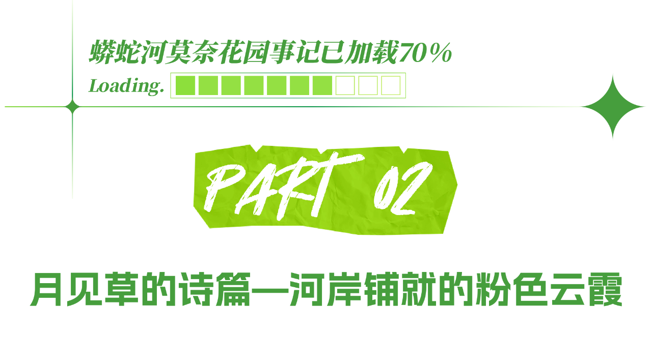 9.png