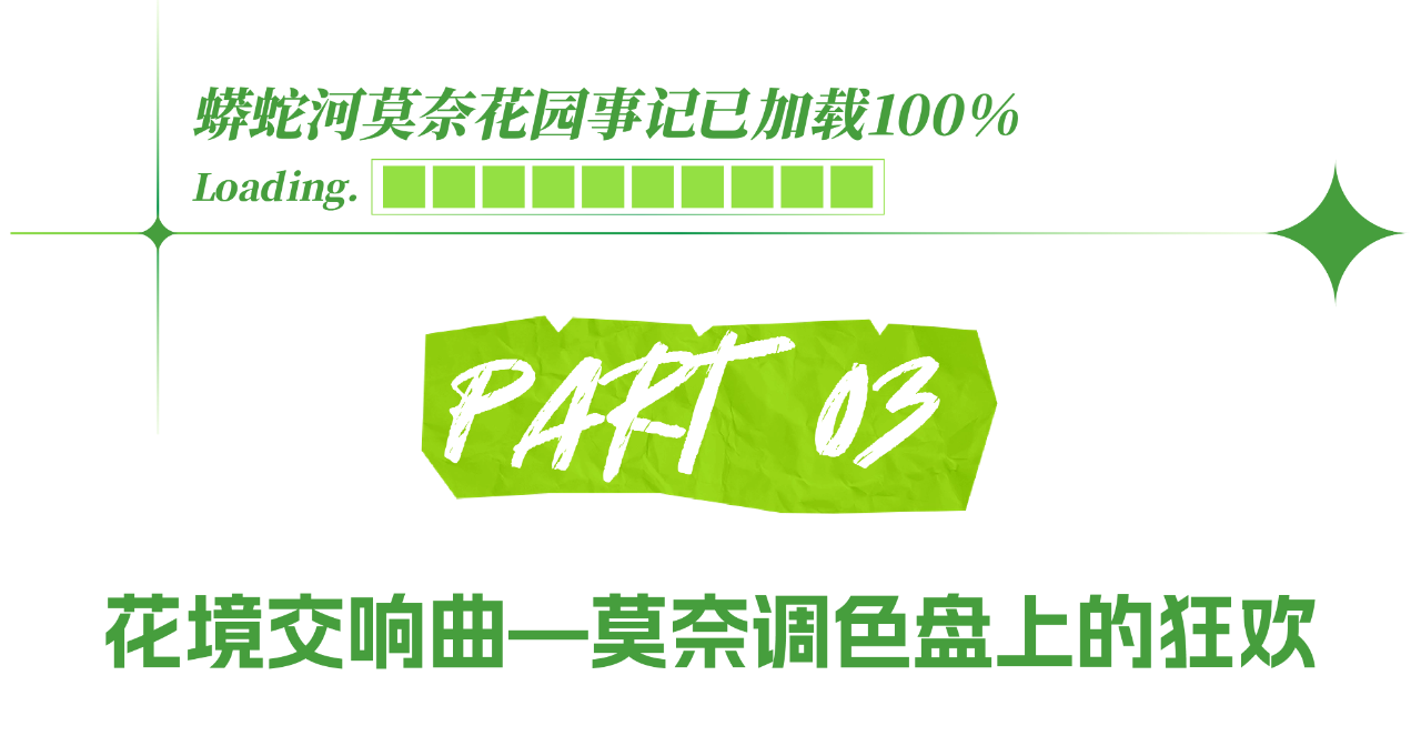 15.png