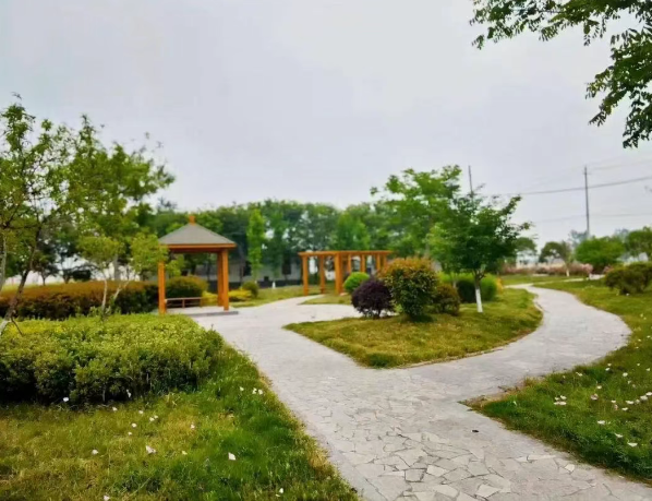 4.png