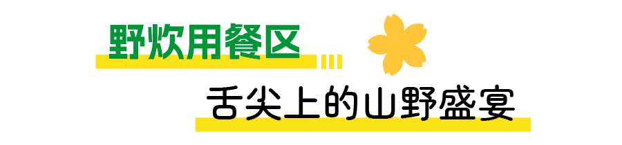 13.png