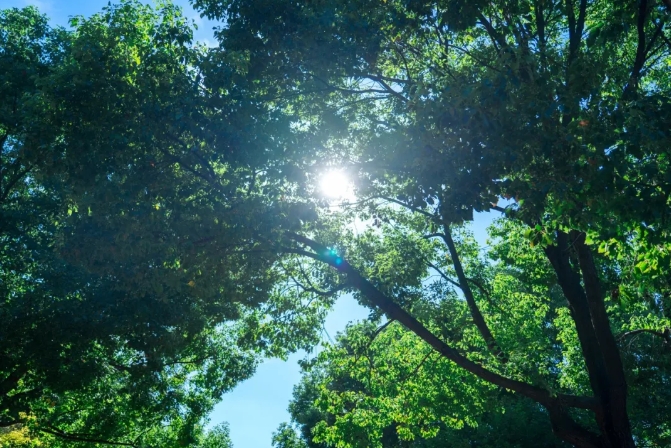 ΢�Ž�ͼ_20250526105444.png