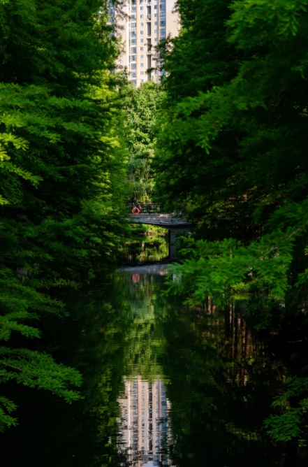 ΢�Ž�ͼ_20250526105521.png