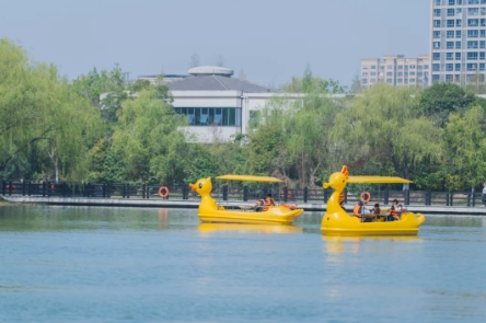 ΢�Ž�ͼ_20250526105634.png